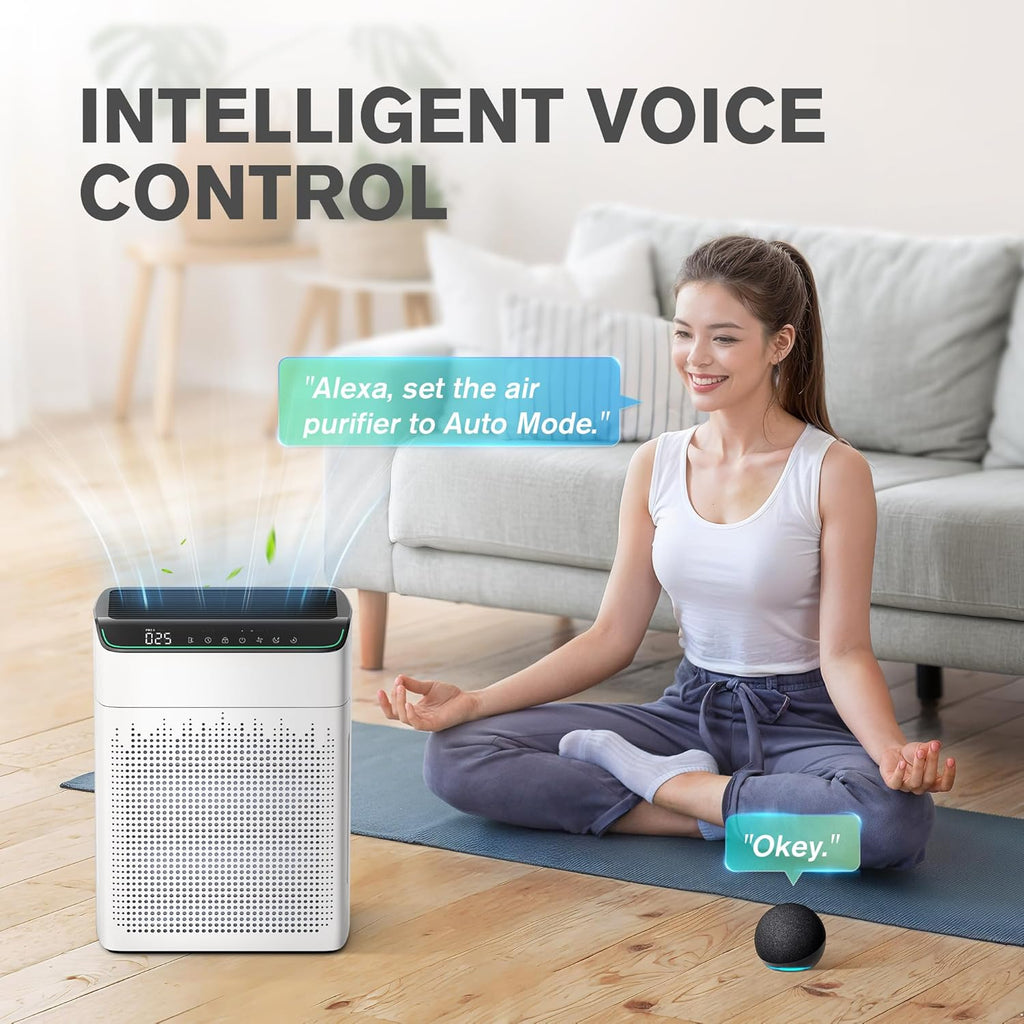 Air Purifier
