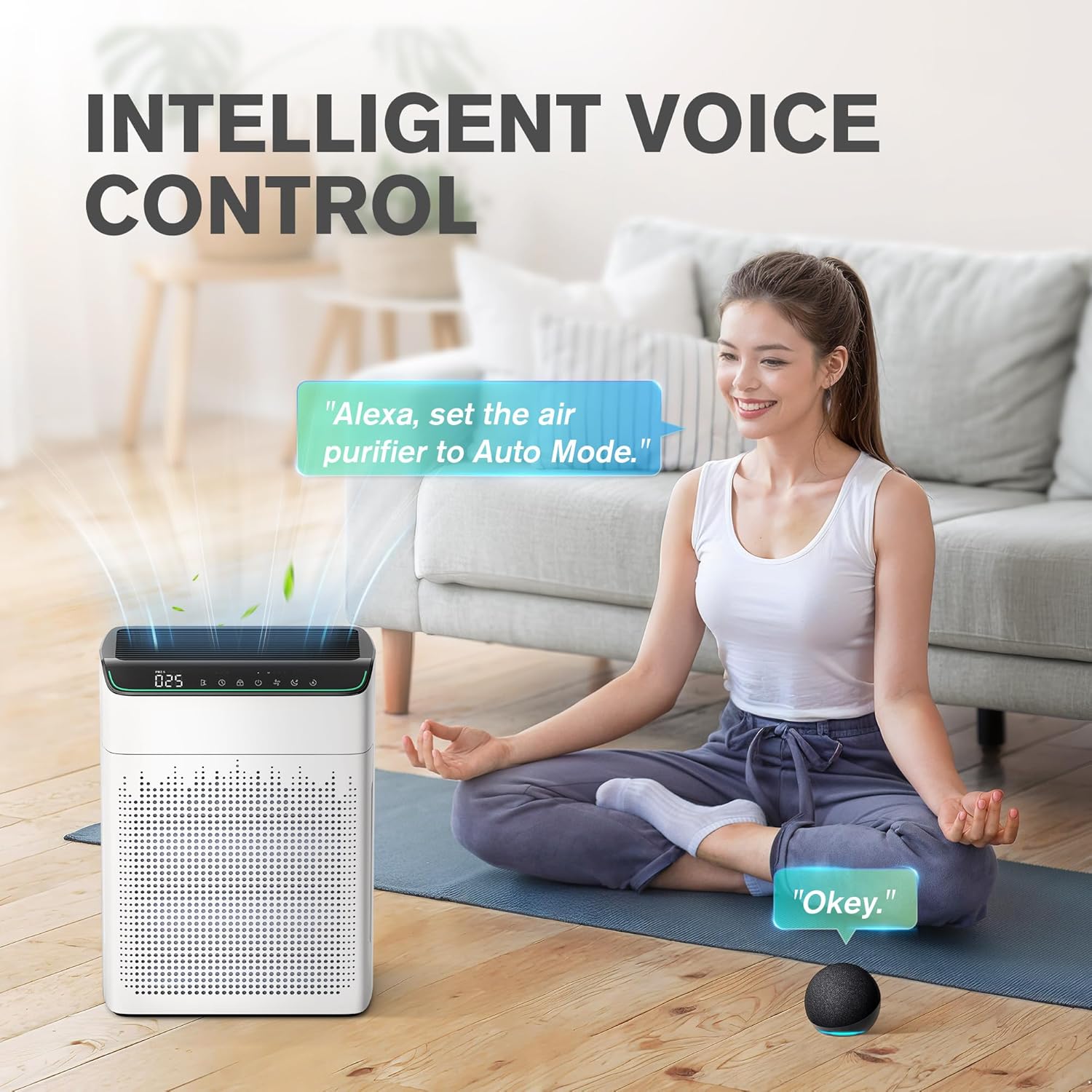 Air Purifier