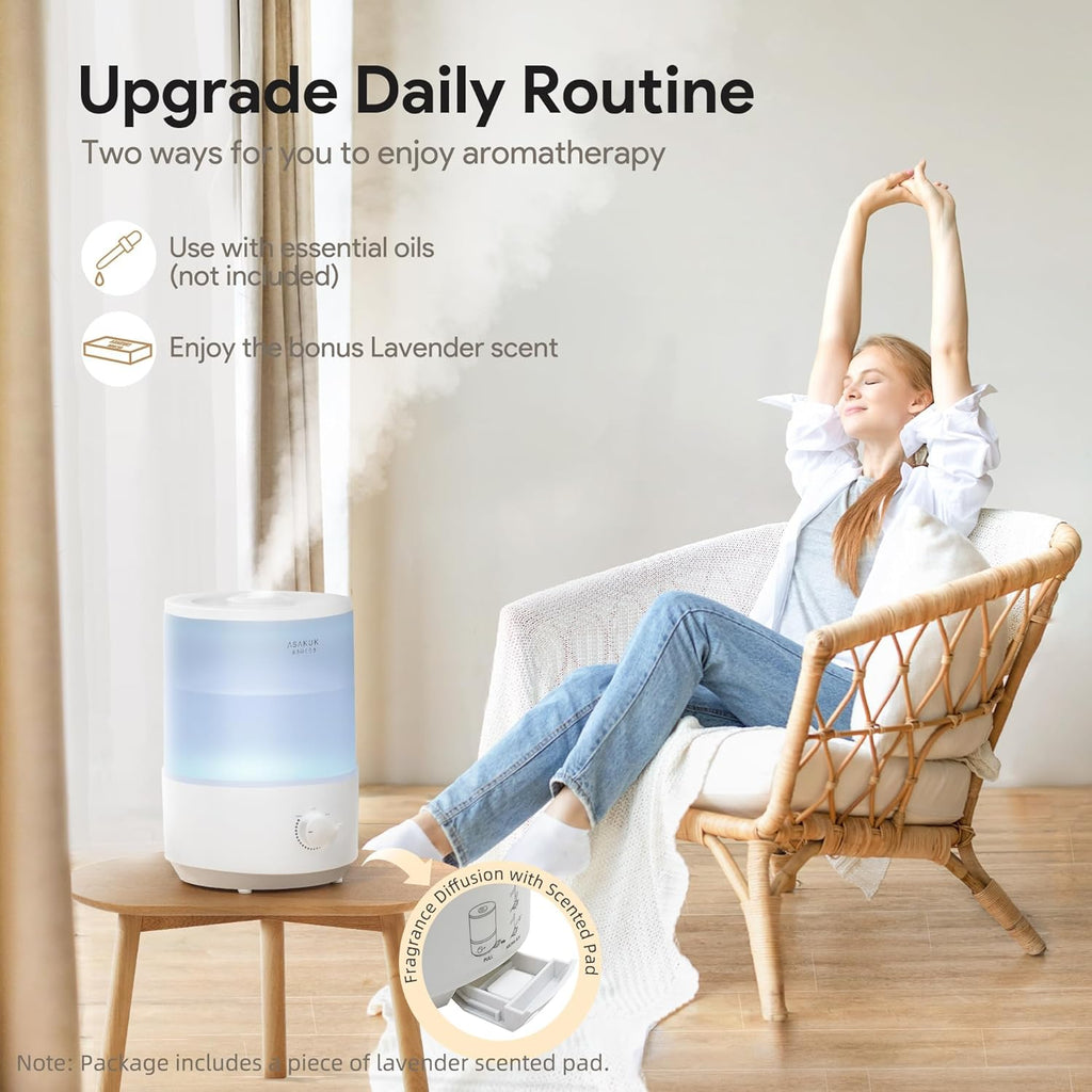 Humidifier with oil diffusers (3L)
